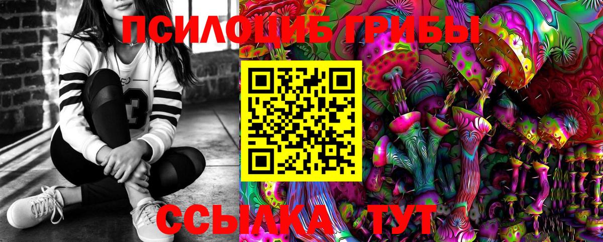 Псилоцибиновые грибы GOLDEN TEACHER Чайковский