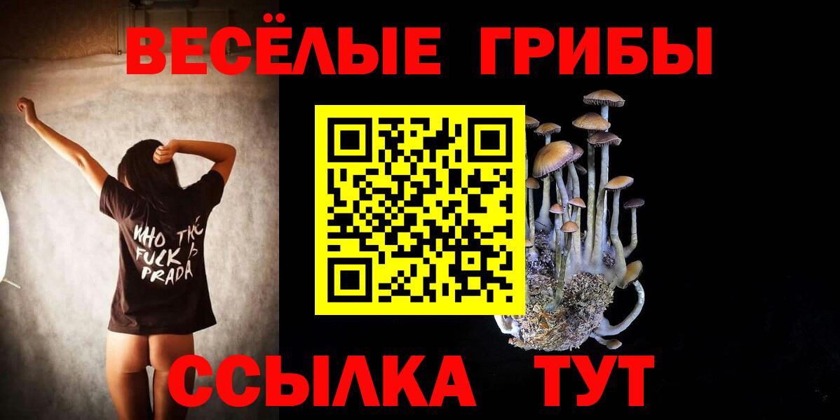 где можно купить   Вход с VPN  Чайковский  Галлюциногенные грибы Psilocybe 